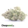 $ 60 Oz - Clementine
