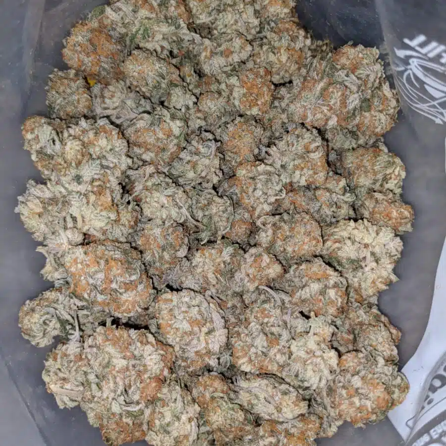 COOKIE MONSTER 1 I Cookie Monster #2