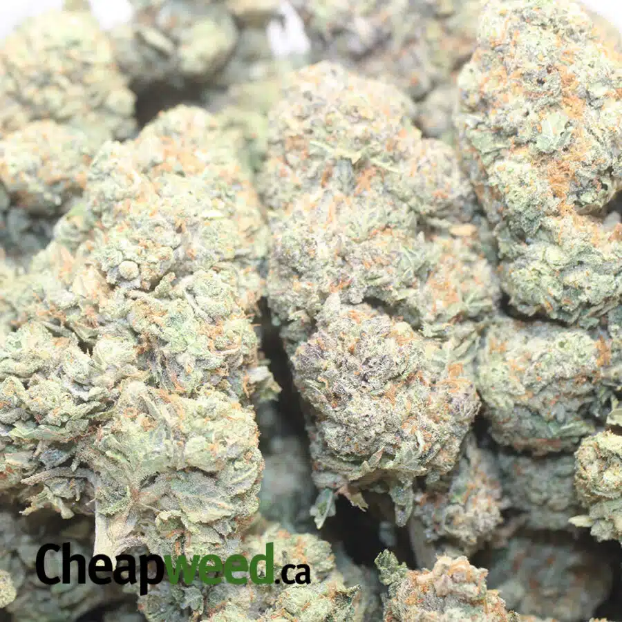FROSTED K 1 I Frosted Kush