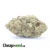 Frosted Kush