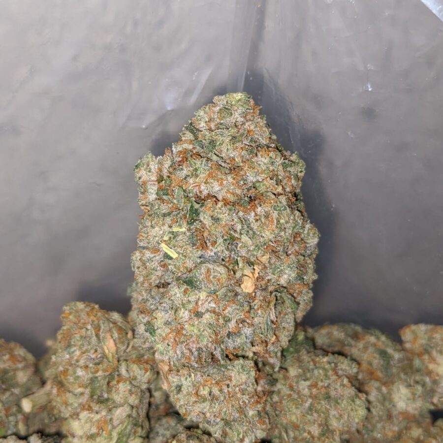 Frosted Kush - Image 6