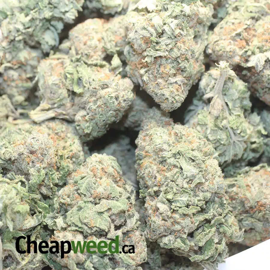 G NUKEN 1 I $ 60 Oz - Green Nuken