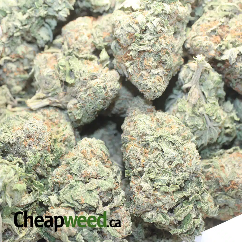 $ 60 Oz - Green Nuken - Image 3