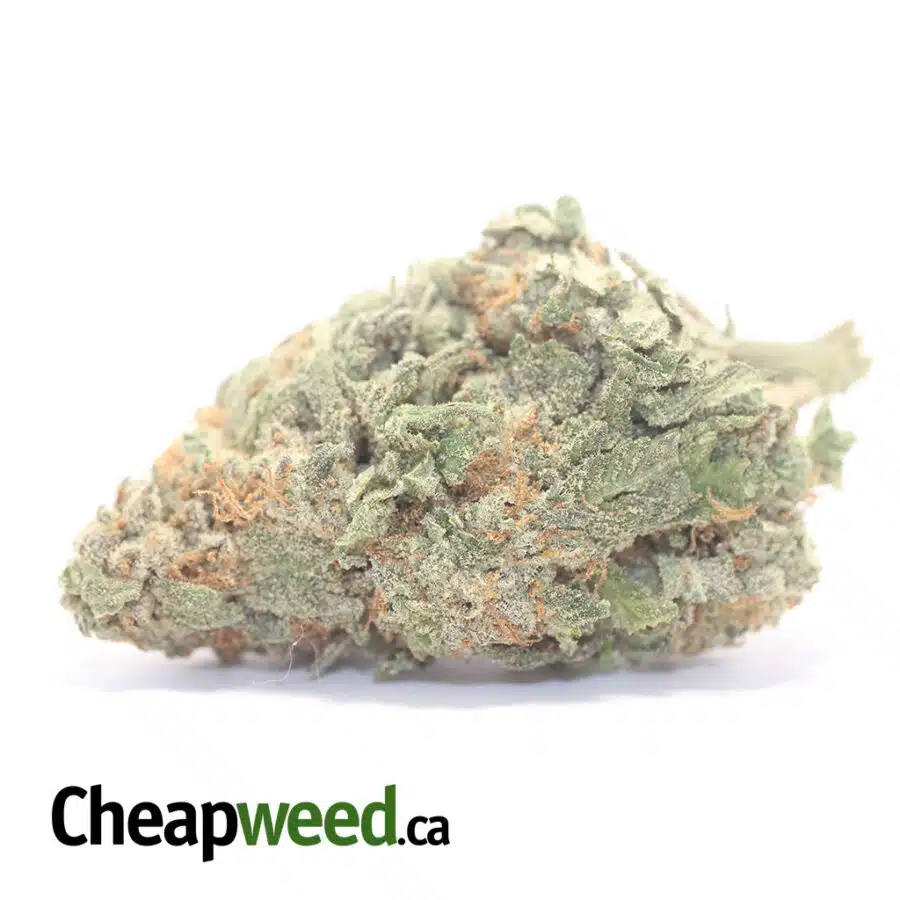 $ 60 Oz - Green Nuken