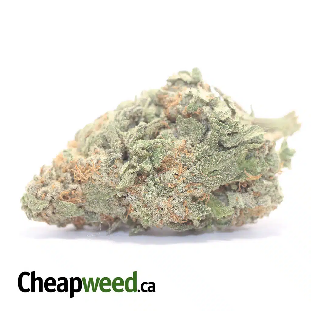 $ 60 Oz - Green Nuken