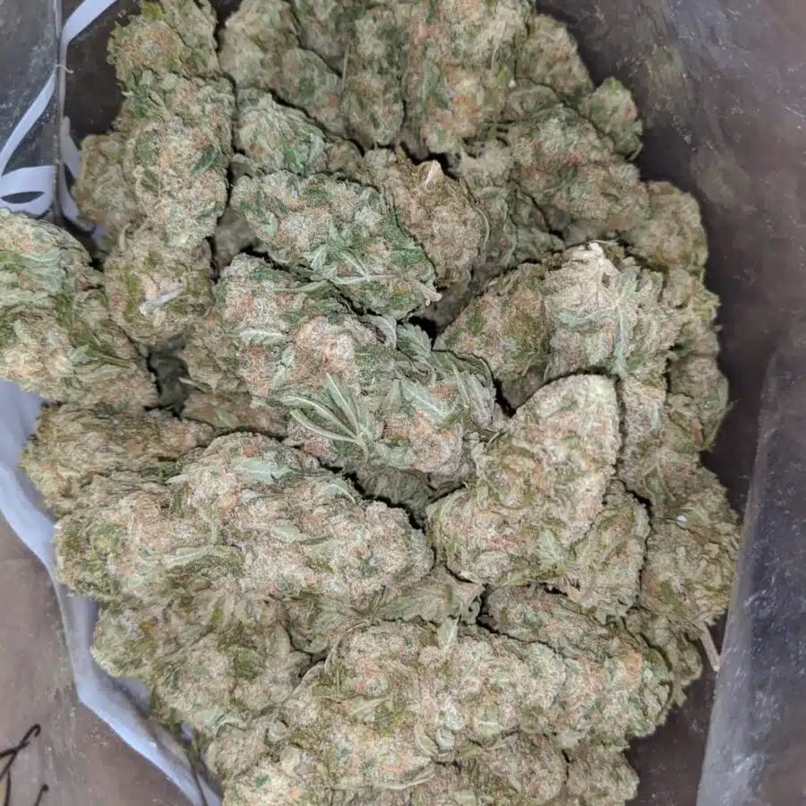 $ 53 Oz - Georgia Pie