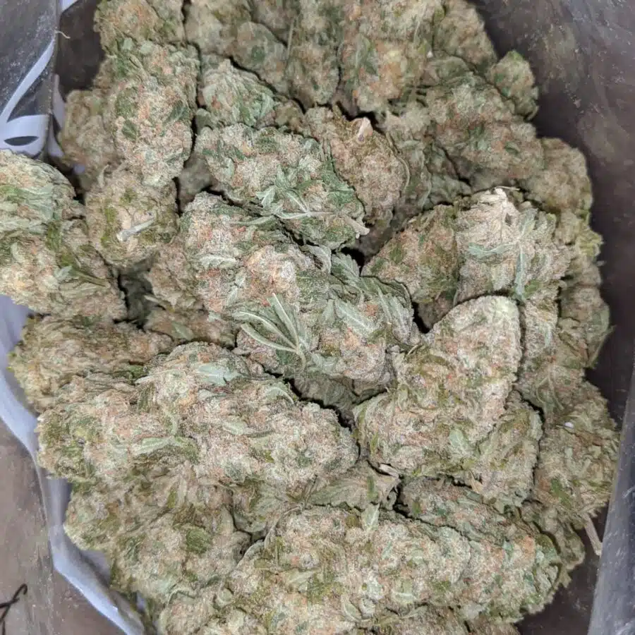 Alternative view of $ 53 Oz - Georgia Pie