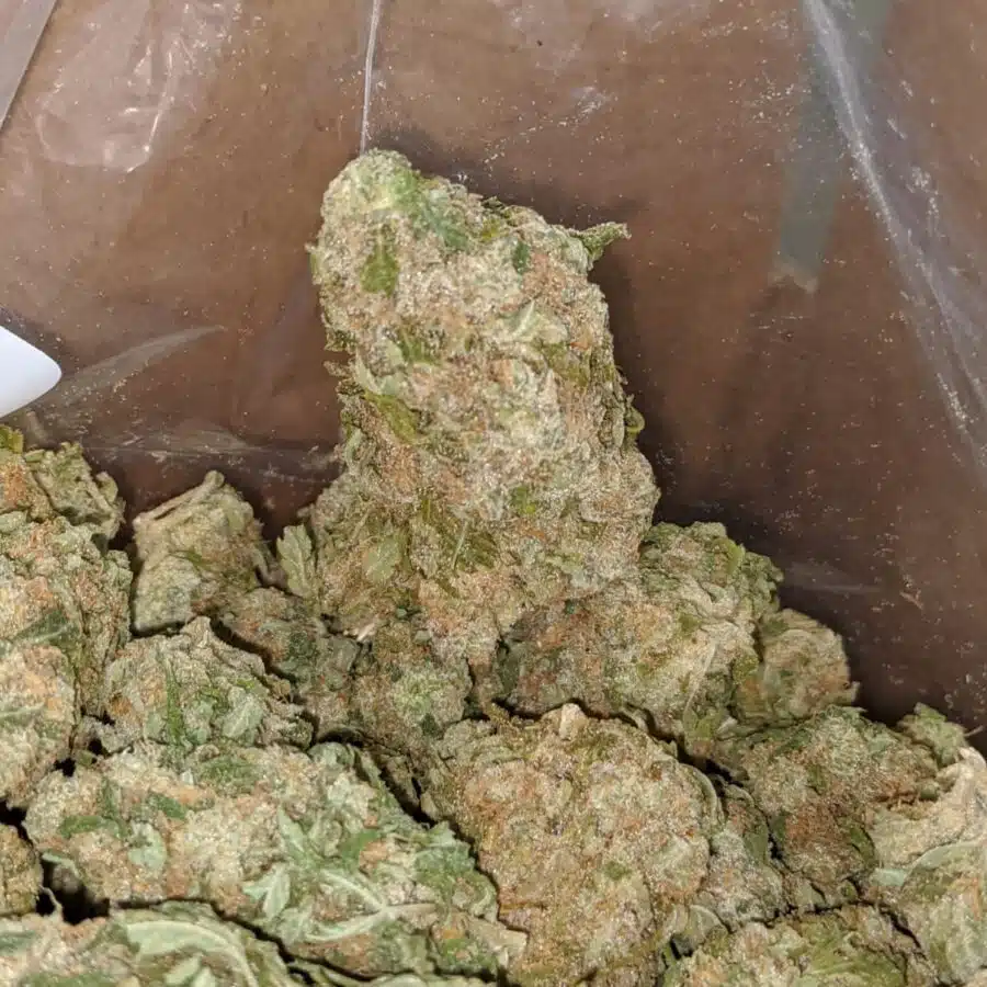 GEORGIA PIE 4 I $ 53 Oz - Georgia Pie