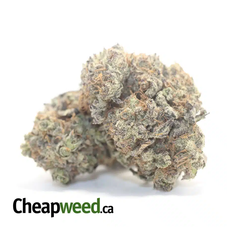 Alternative view of Grape Stomper - *Deal Of The Day*