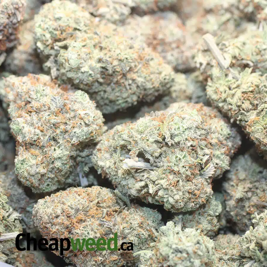 LCANDY 1 I $ 68 Oz - Lemon Candy