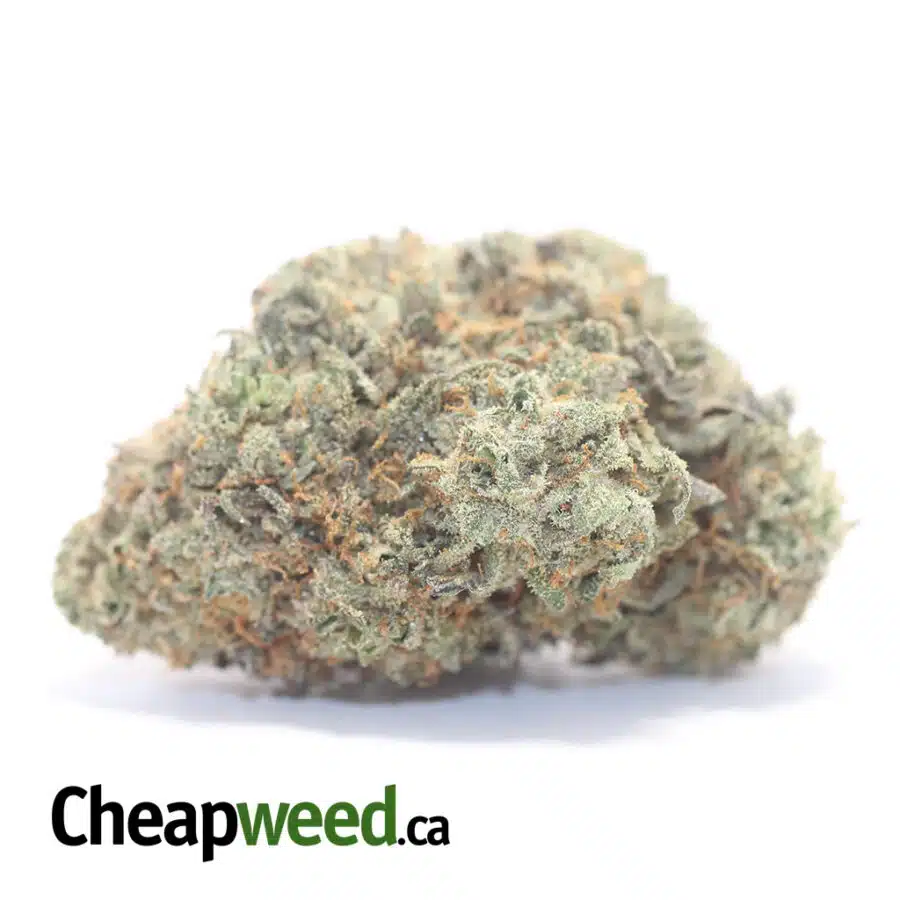 Lemon Candy