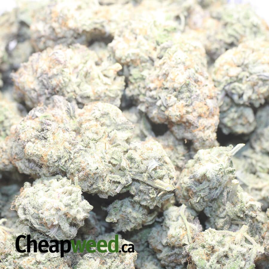 Mac 10 X Cookies - Image 3
