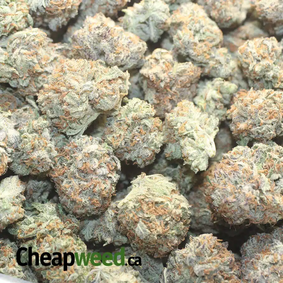 MENDO COOKIES 1 I $ 63 Oz - Mendo Cookies