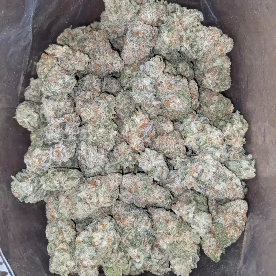 Mac 3 I MAC