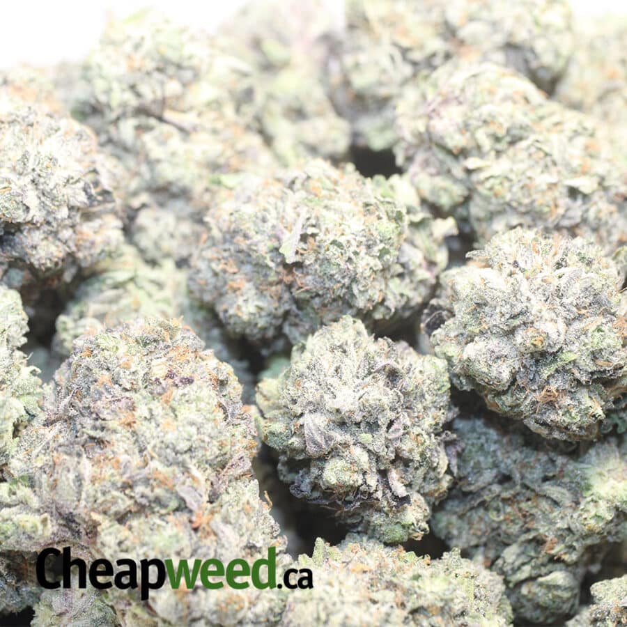 Pink Goo AAAA #2 - Image 3