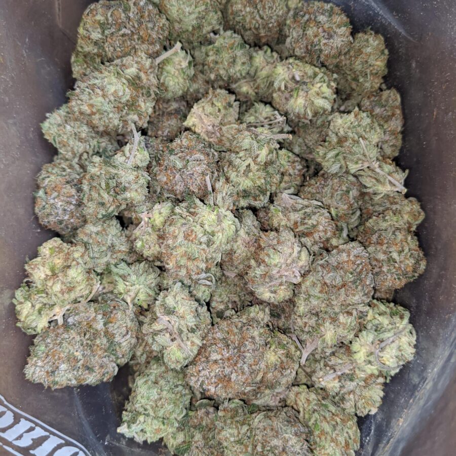 Pink Kush AAA - Image 6