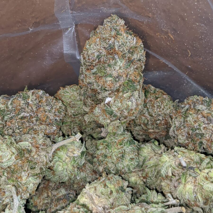 Pink Kush AAA - Image 5