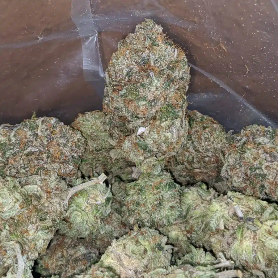 Pink kush AAA 3 I Pink Kush AAA