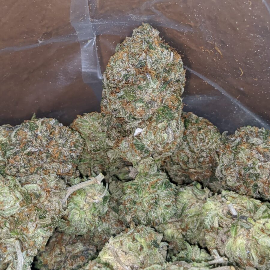 Pink Kush AAA - Image 4