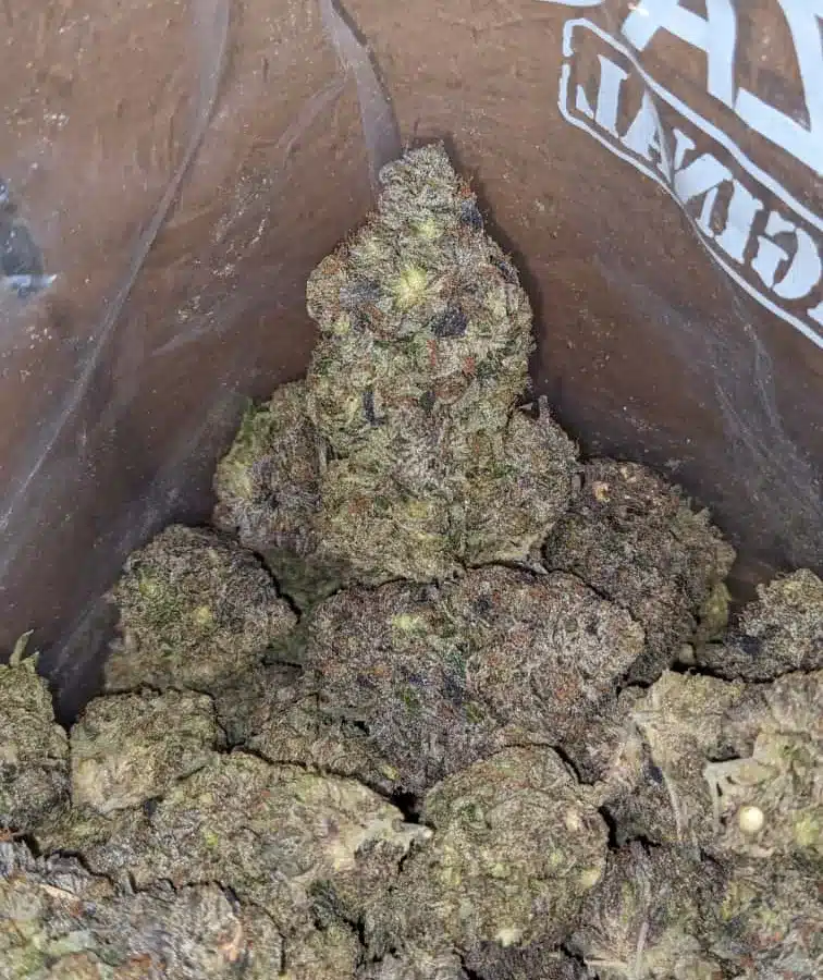 Platinum Bubba 2 I Platinum Bubba