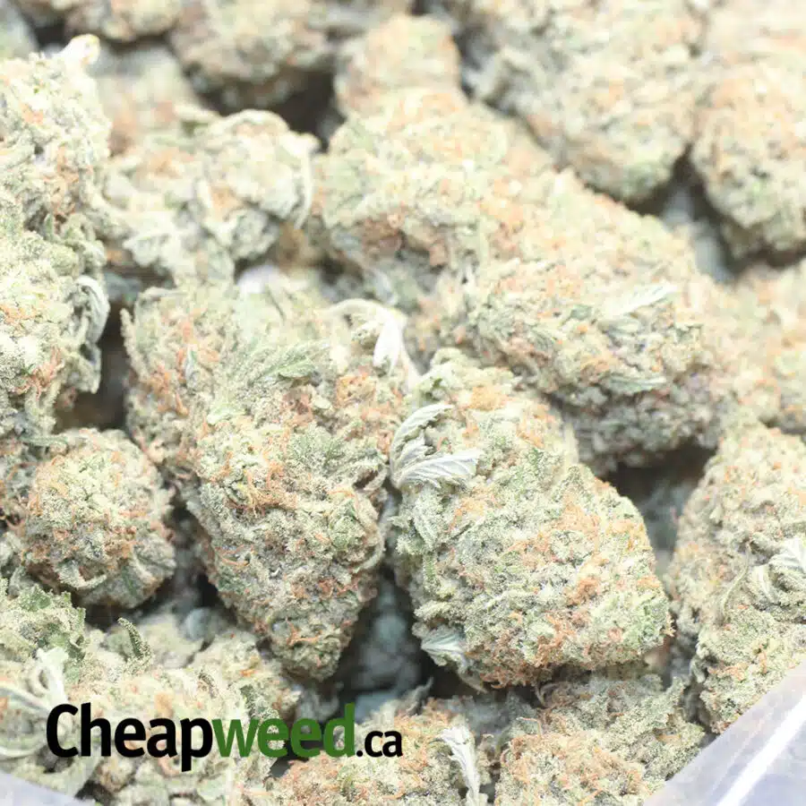 SHERBERT 1 I $ 62 Oz - Sherbet