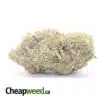 Sherbert