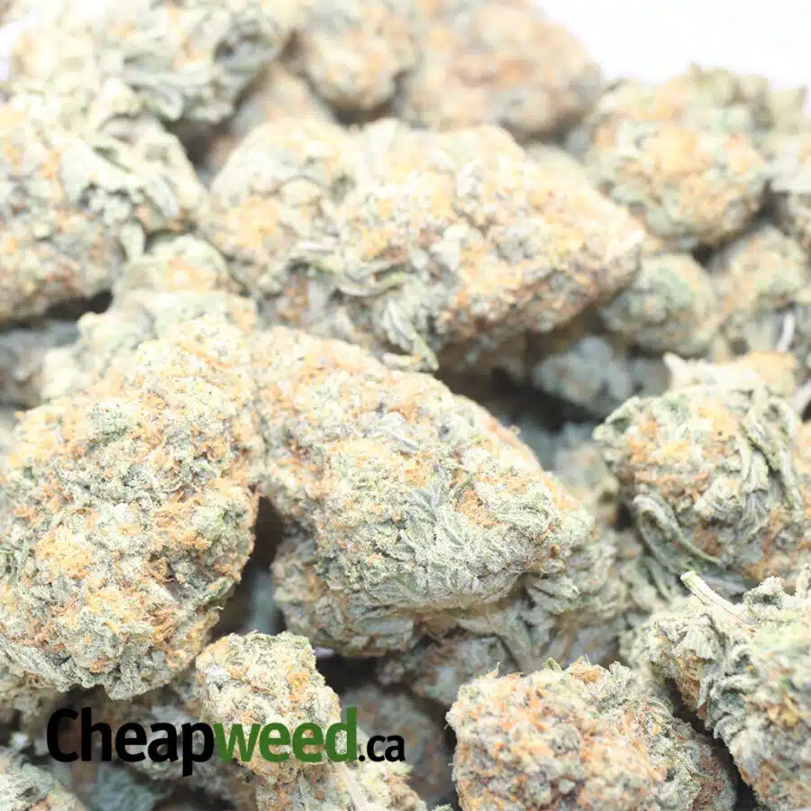 SOUR OG 1 I Sour OG