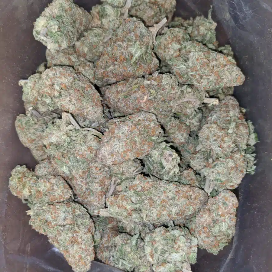 THUNDERFUCK 1 I $ 60 Oz - Thunderfuck