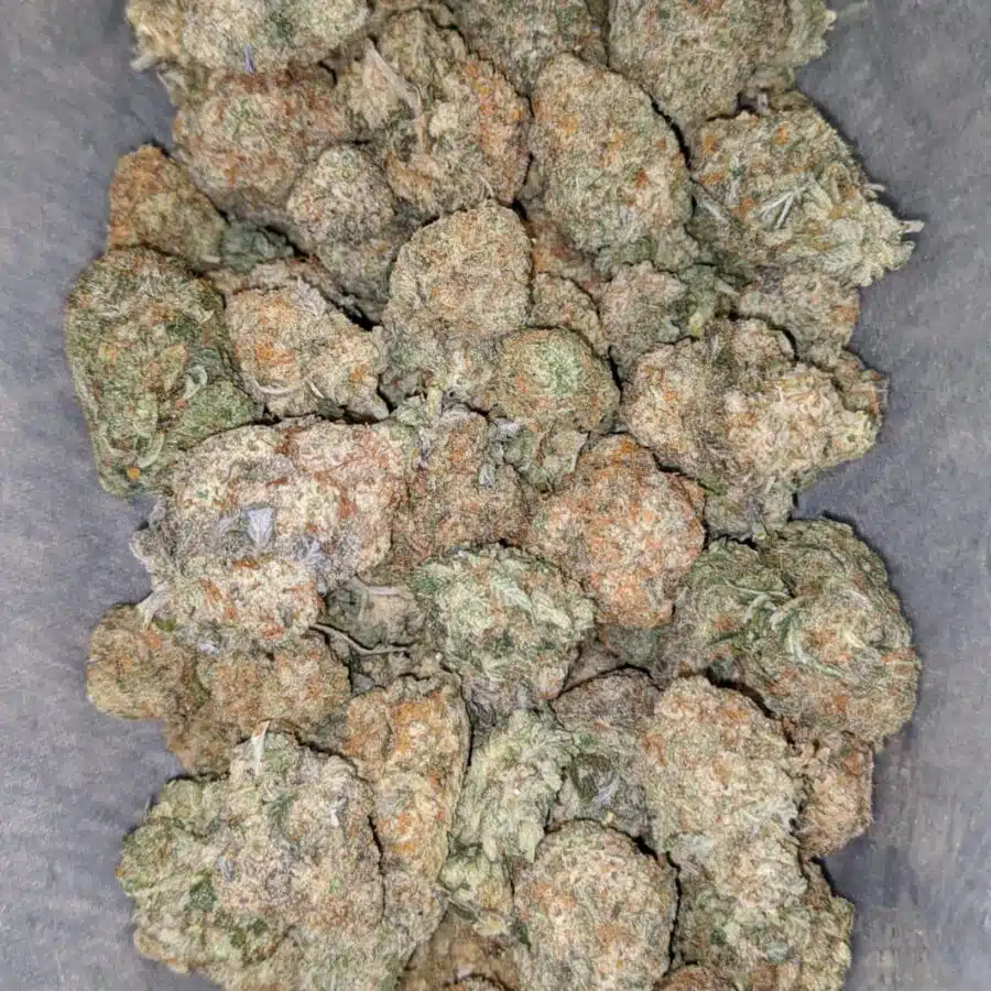 butterscotch 1 I $ 60 Oz - Butterscotch