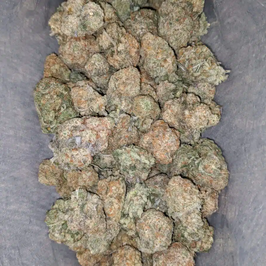 butterscotch 2 I $ 60 Oz - Butterscotch