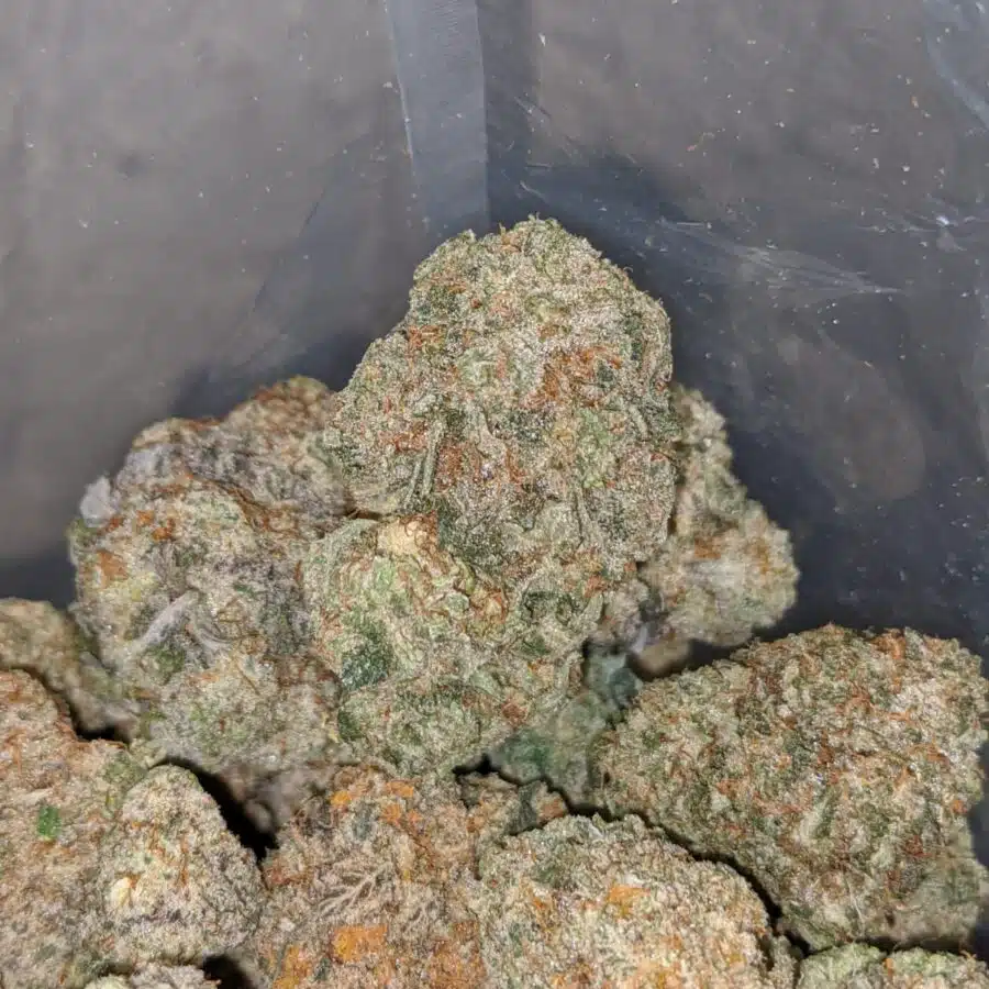 butterscotch 3 I $ 60 Oz - Butterscotch