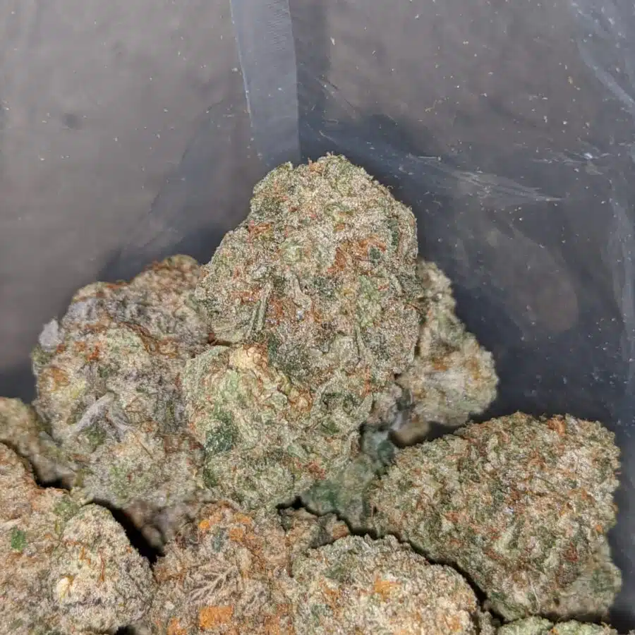 butterscotch 4 I $ 60 Oz - Butterscotch