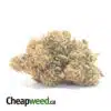 Cherry Diesel
