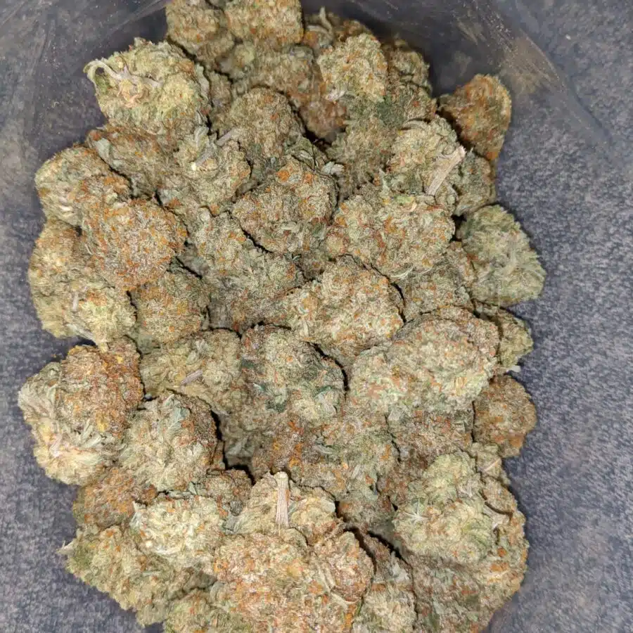 cherry diesel 1 I Cherry Diesel