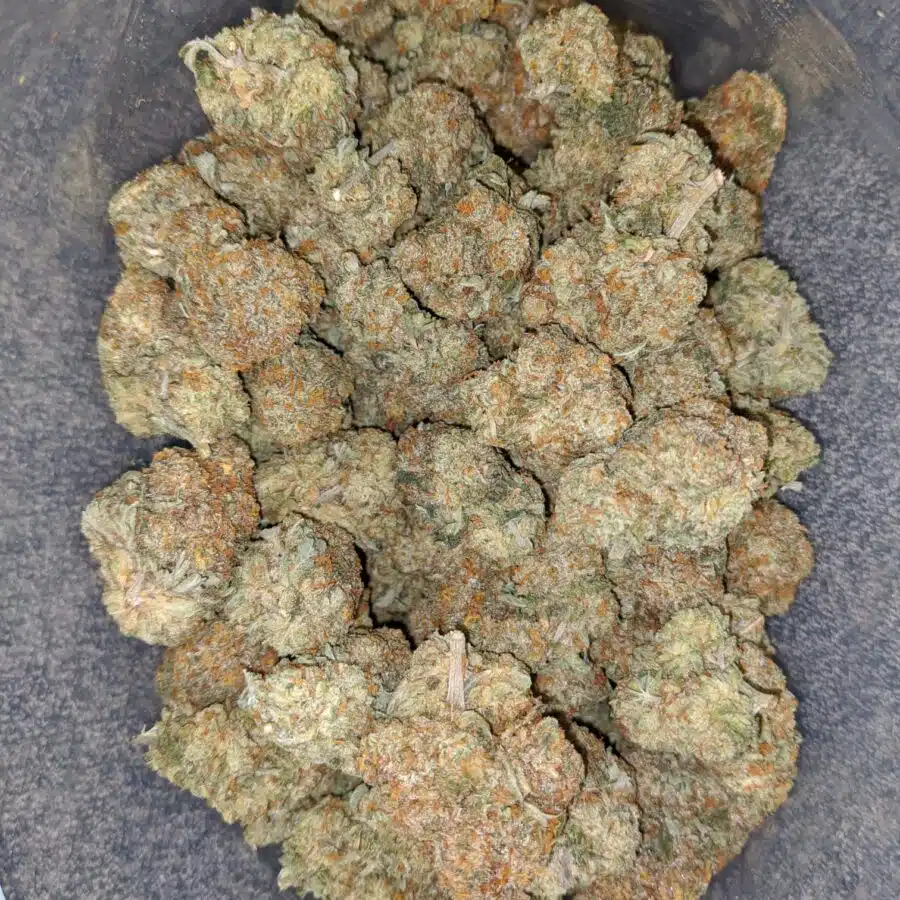 cherry diesel 2 I Cherry Diesel