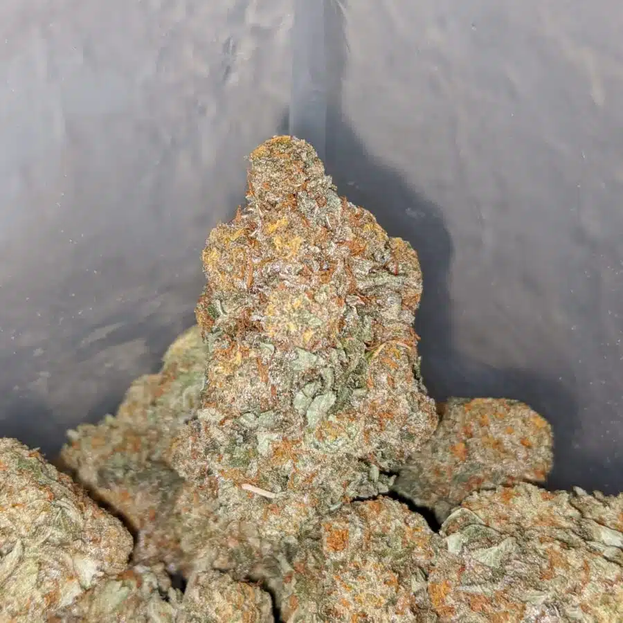 cherry diesel 3 I Cherry Diesel