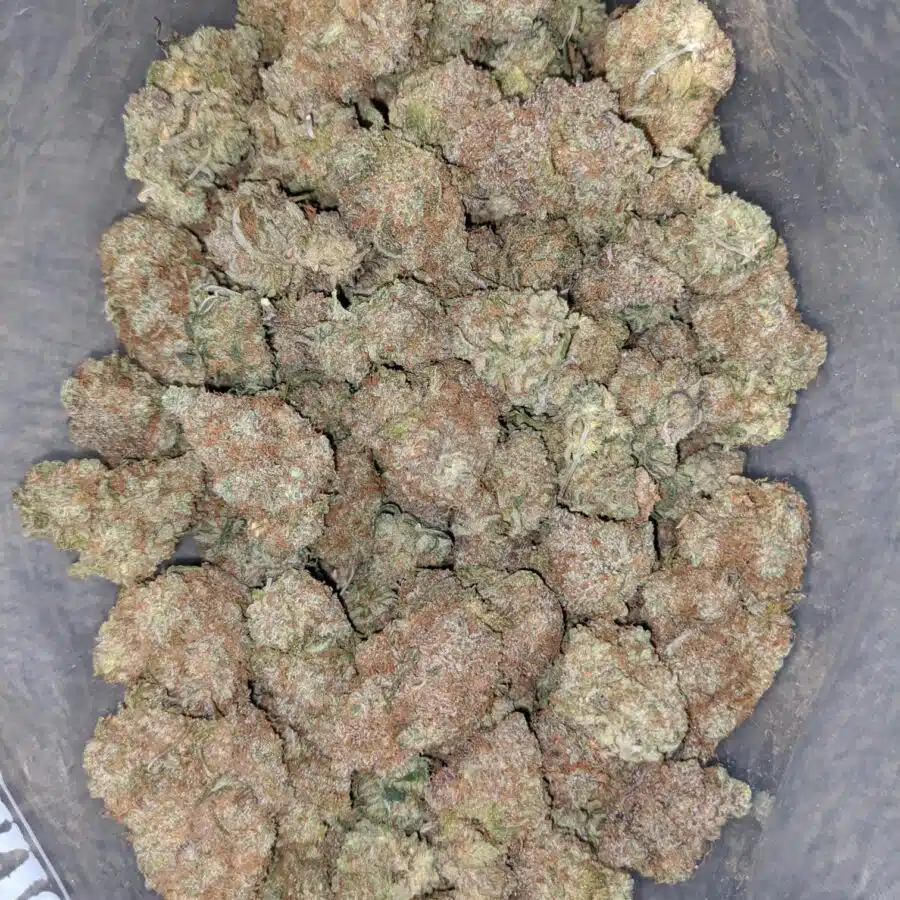 chocolate diesel 1 I Chocolate Diesel