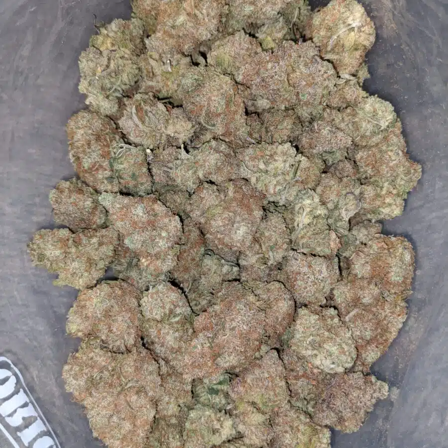 chocolate diesel 2 I Chocolate Diesel
