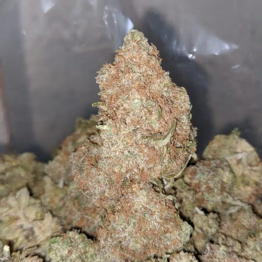 chocolate diesel 3 I Chocolate Diesel