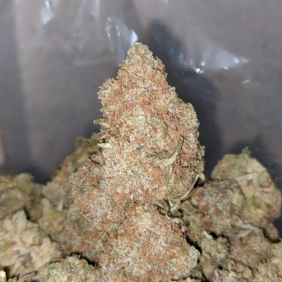 chocolate diesel 4 I Chocolate Diesel