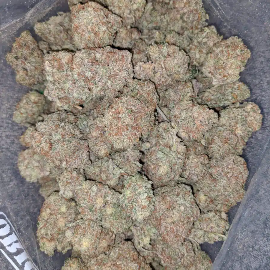 citral skunk 1 I Citral Skunk