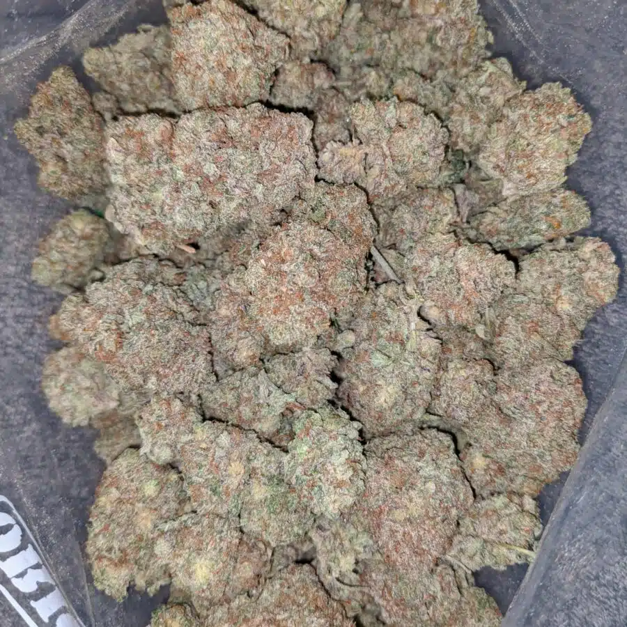 citral skunk 2 I Citral Skunk