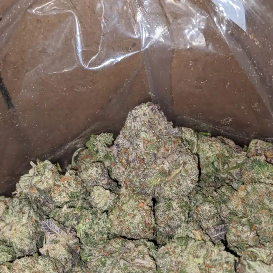 gary payton cookies 3 I Gary Payton Cookies