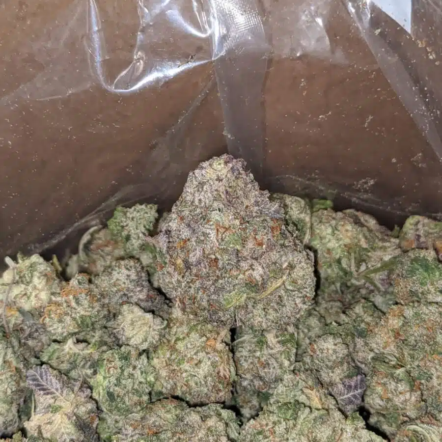 gary payton cookies 4 I Gary Payton Cookies
