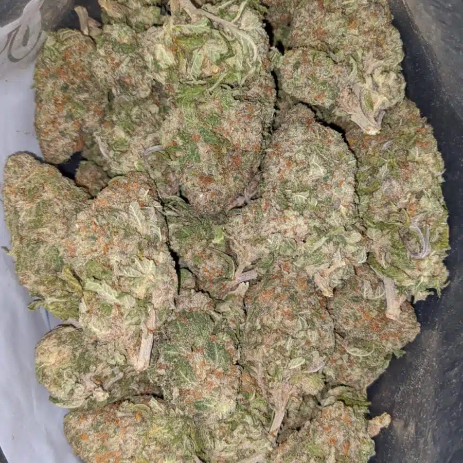 green nuken 1 I $ 60 Oz - Green Nuken