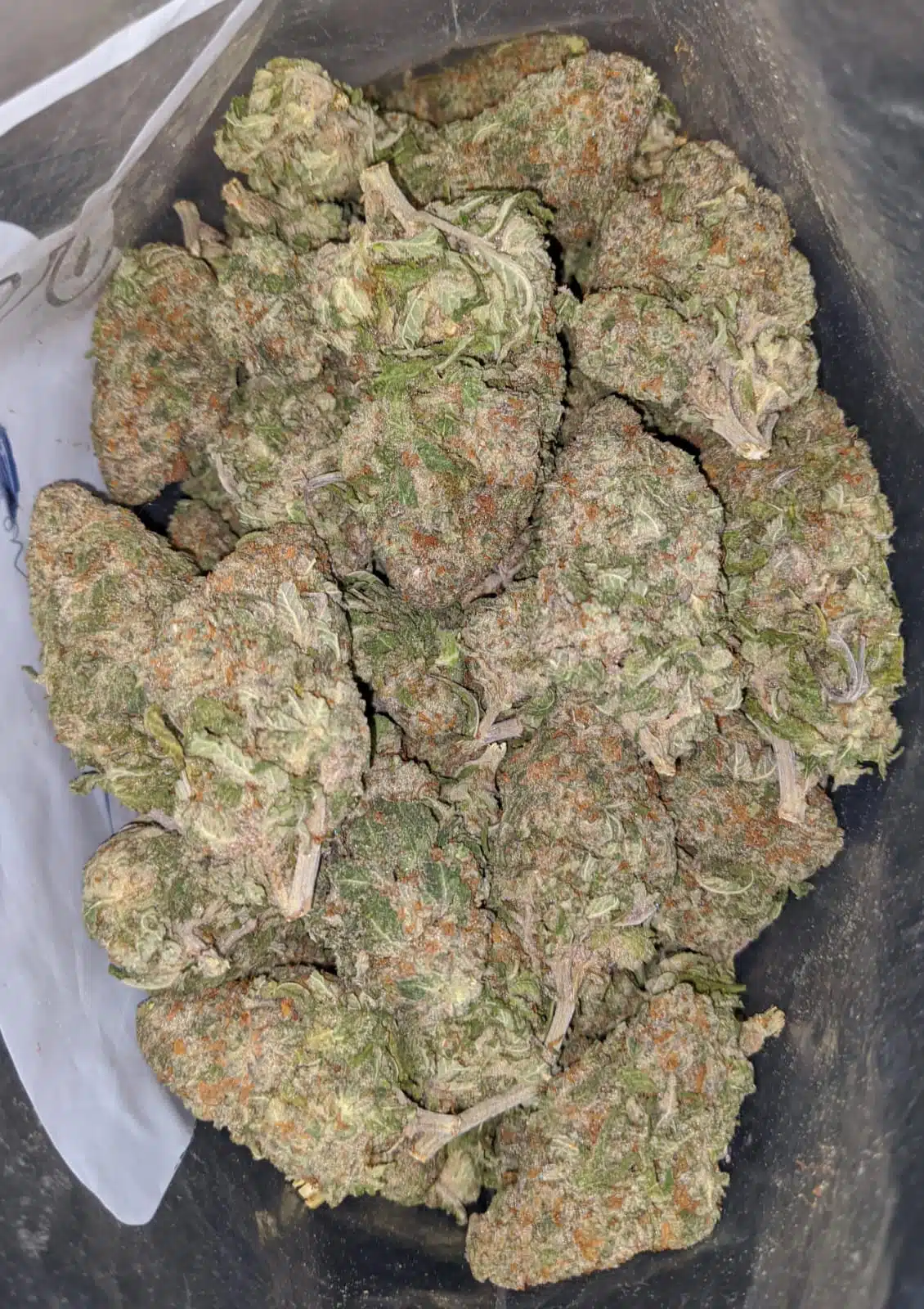 $ 60 Oz - Green Nuken - Image 4