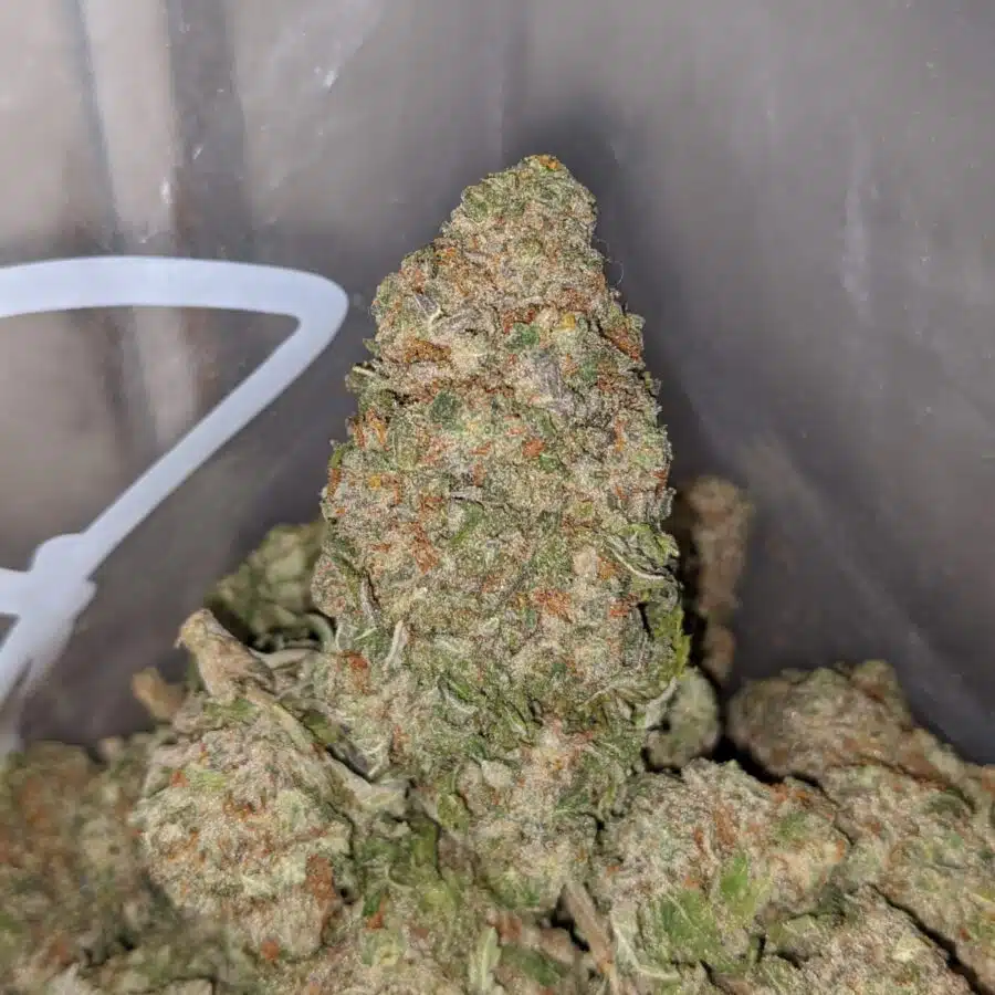 green nuken 3 I $ 60 Oz - Green Nuken