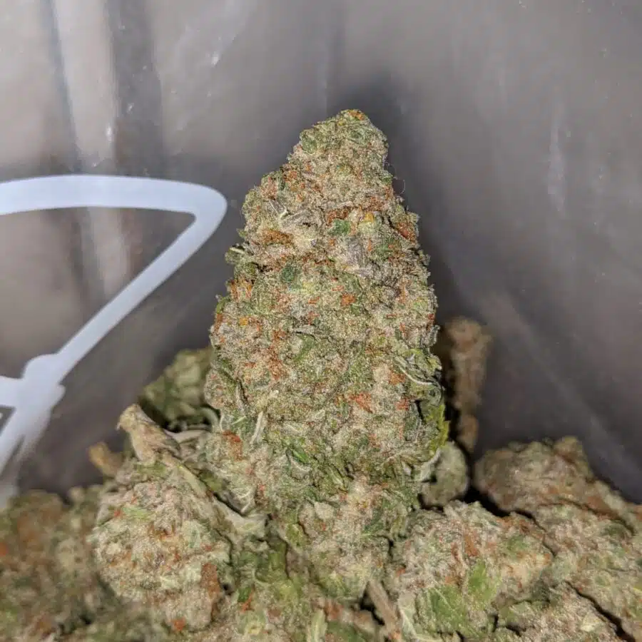 green nuken 4 I $ 60 Oz - Green Nuken