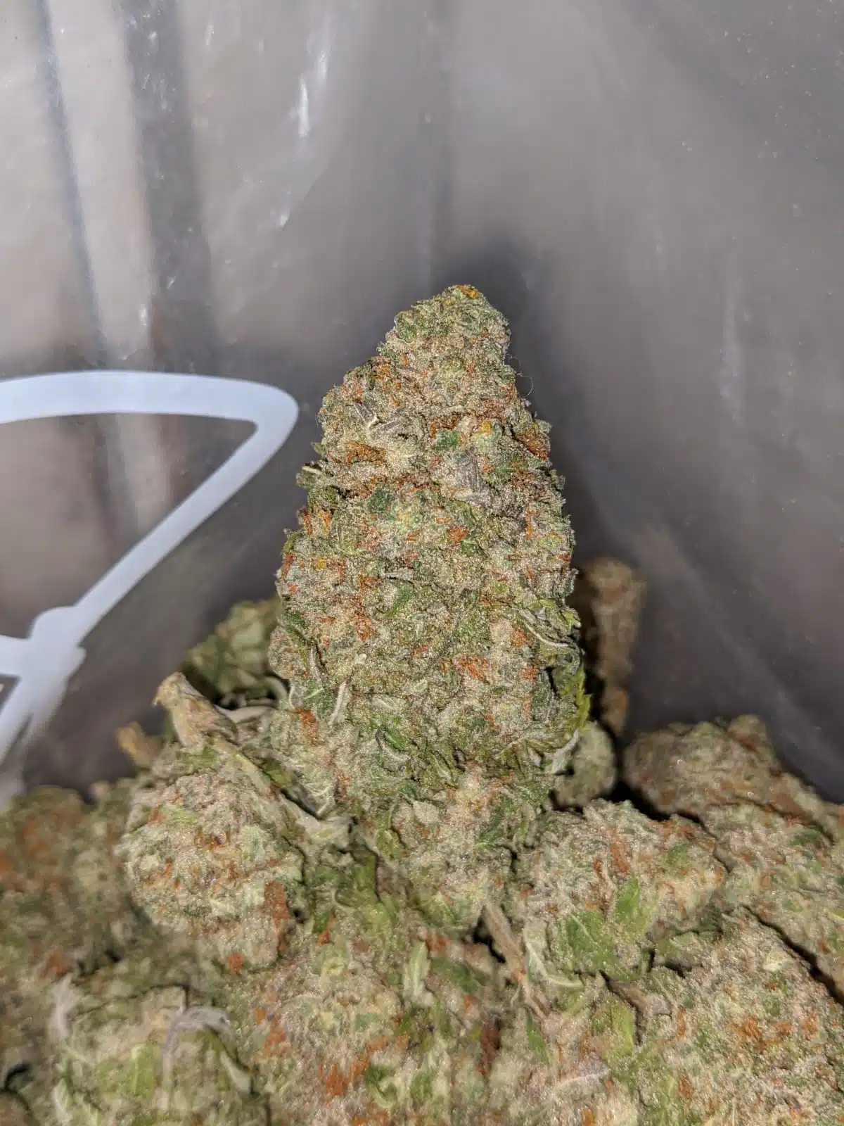 $ 60 Oz - Green Nuken - Image 6