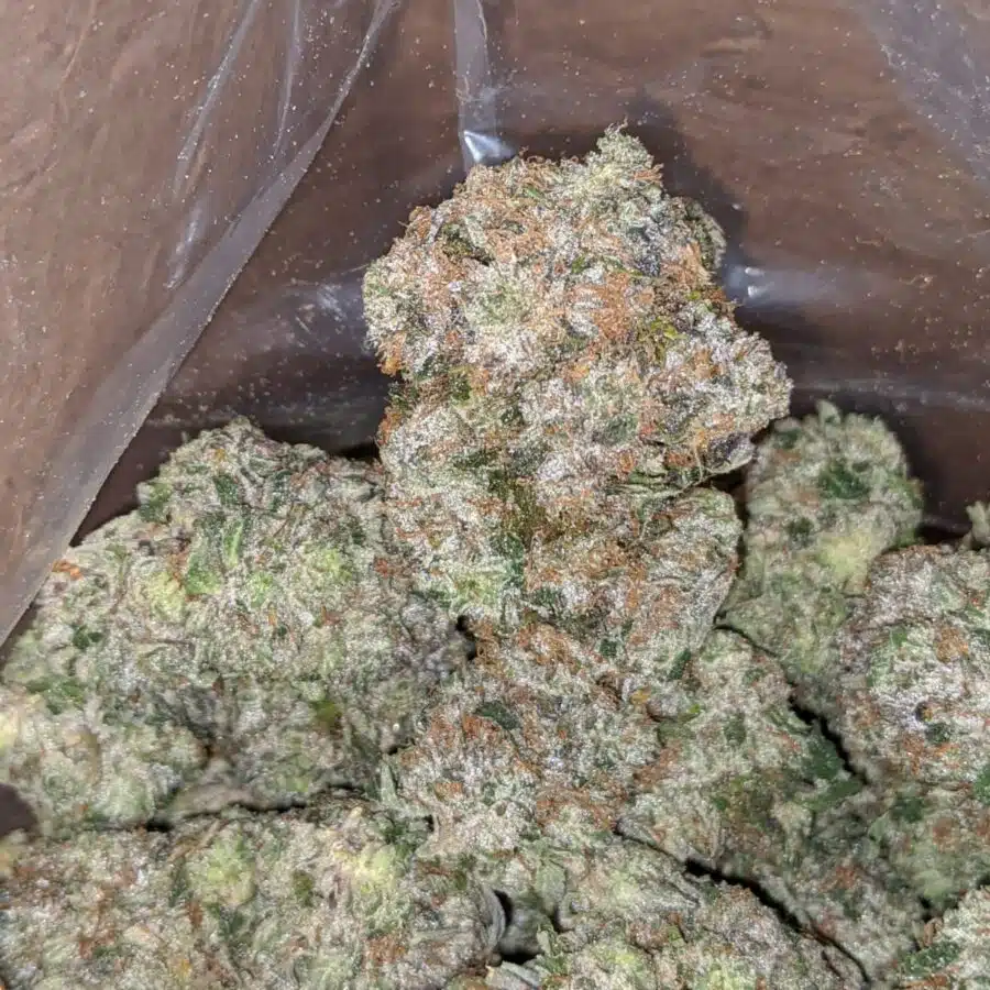 greenfarm mk ultra 1 I Greenfarm's MK Ultra